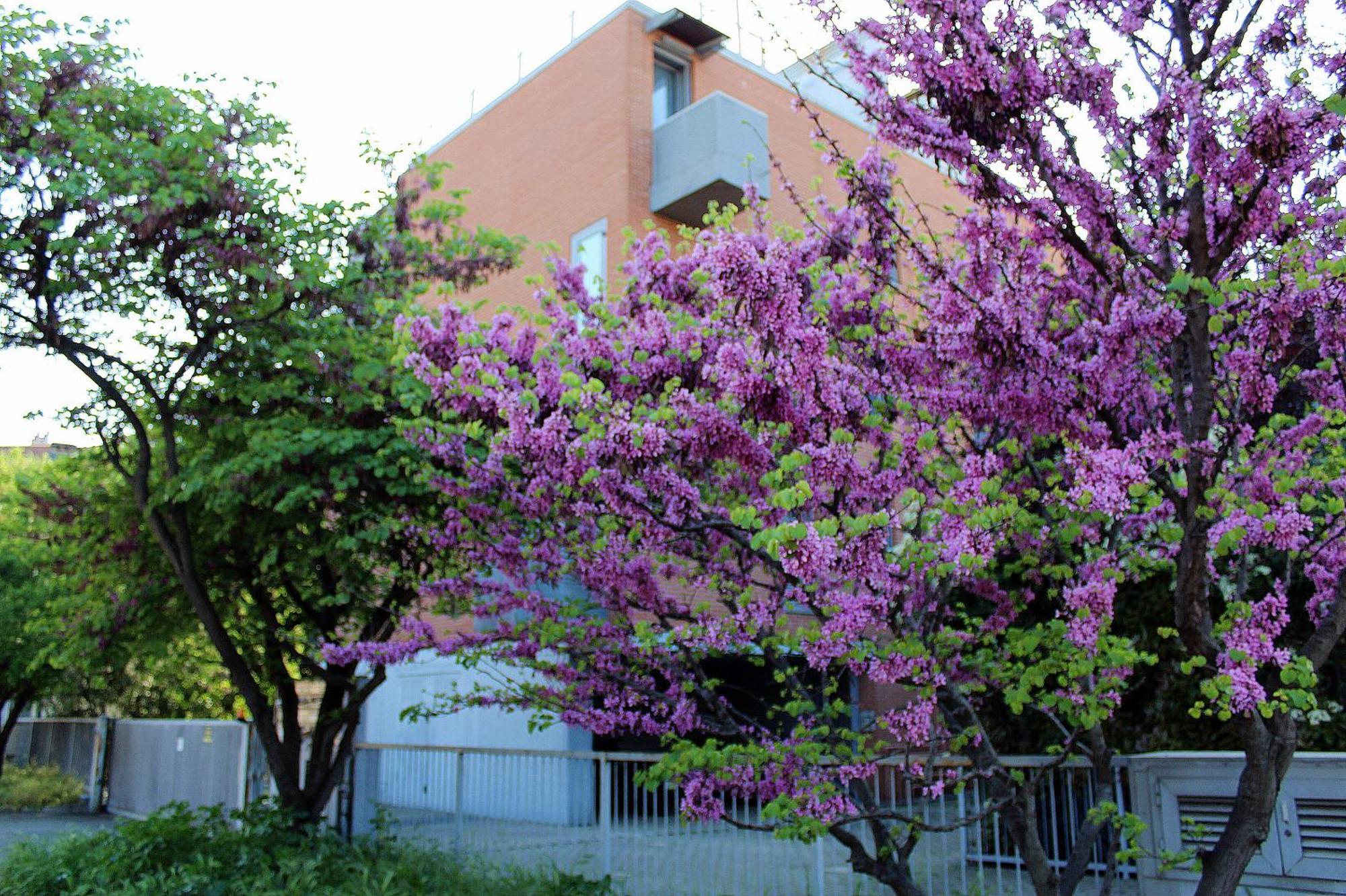 Appartamento Levante Bologna Esterno foto